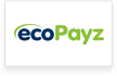 ecopayz Top Paying Online Casino NZ