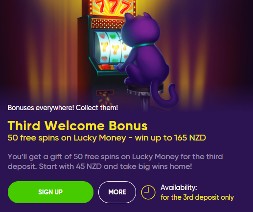 Bao Casino – Get 100 Free Spins & up to $530 | CasinoWatch 3 third bonus