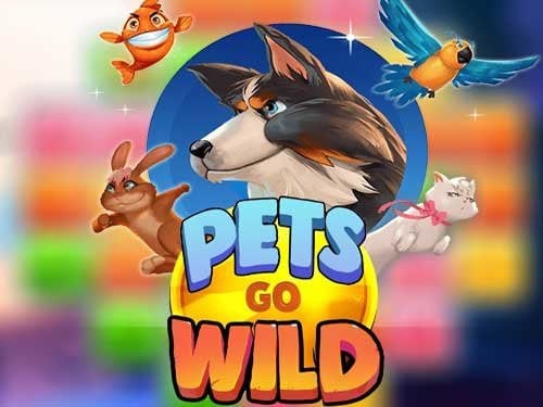 Twin Casino NZ – Get 400 Free Spins and $400 | CasinoWatch 11 pgw.jpg.b6d6a8a5b4129a80380a3791ae4963b8 Twin Casino NZ Review